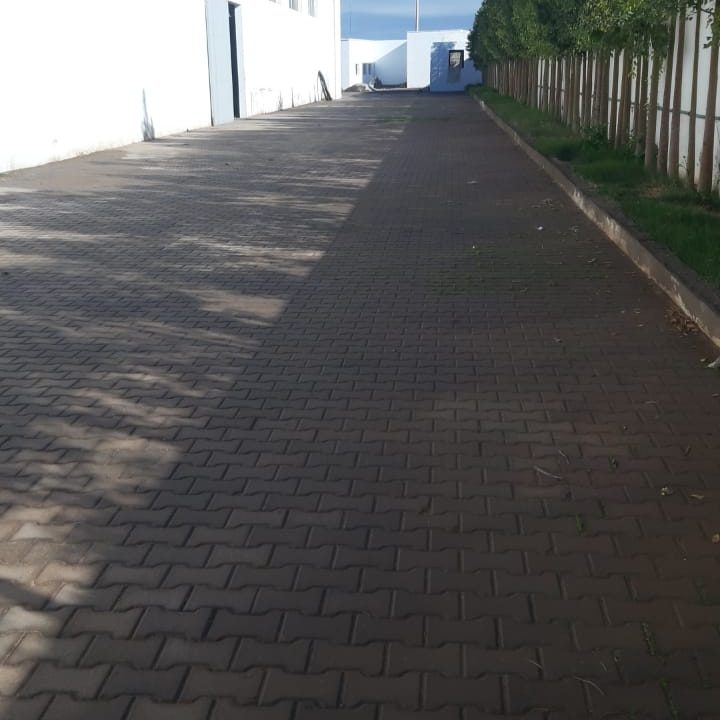 WhatsApp Image 2021-01-07 at 11.26.41