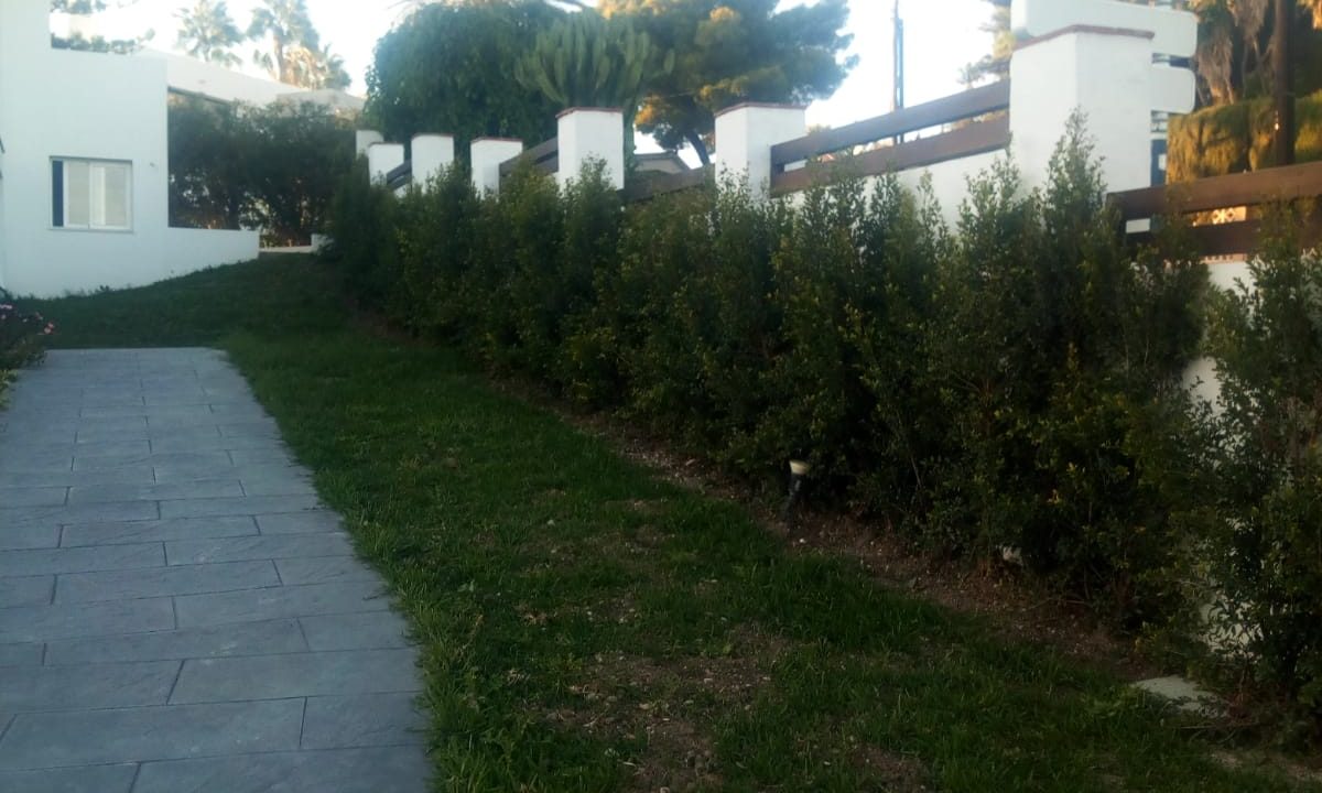 WhatsApp Image 2021-02-04 at 21.49.48