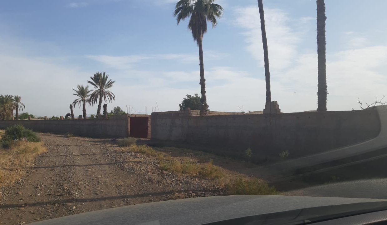 IMG-20210525-WA0098