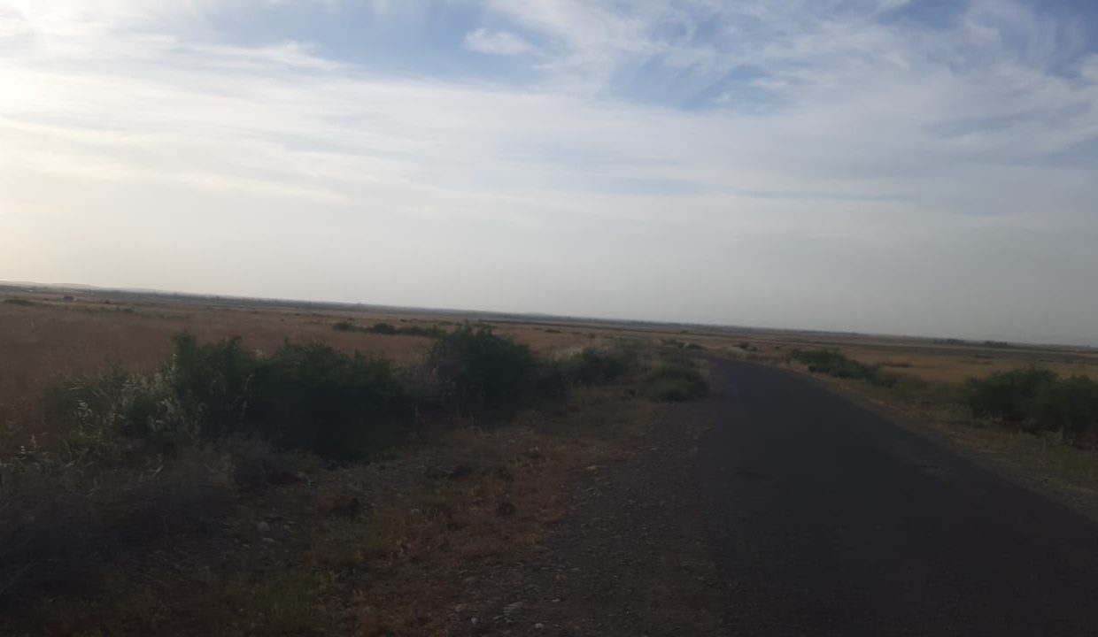 IMG-20210525-WA0123