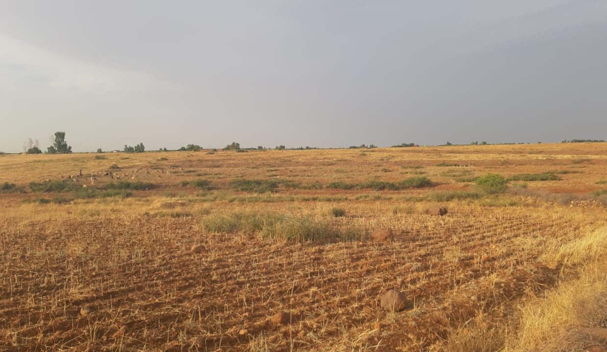 IMG-20210603-WA0180