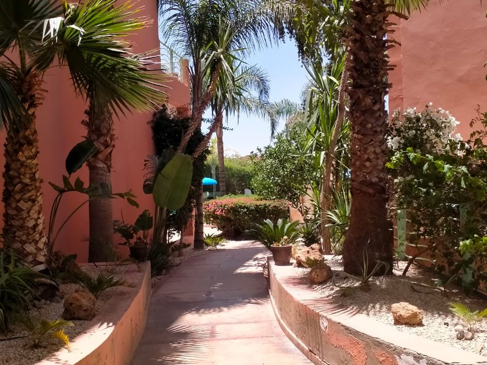 IMG-20210622-WA0021