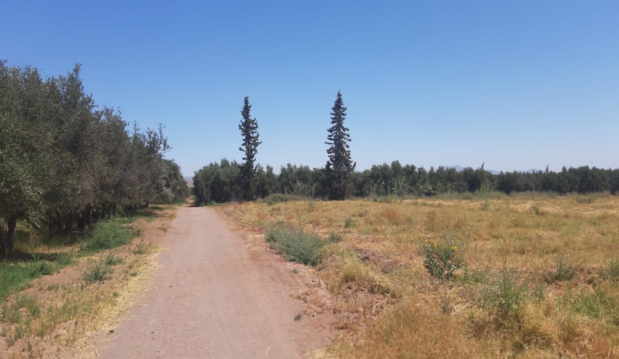 IMG-20210628-WA0042
