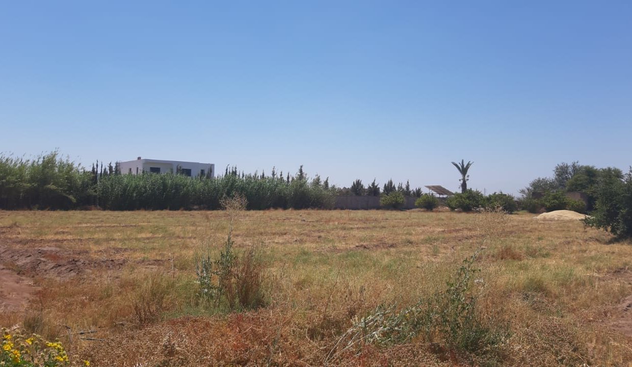 IMG-20210628-WA0043
