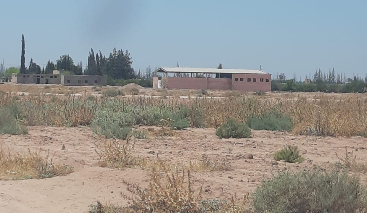 IMG-20210628-WA0046