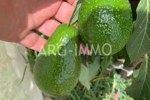 IMG-20211009-WA0037