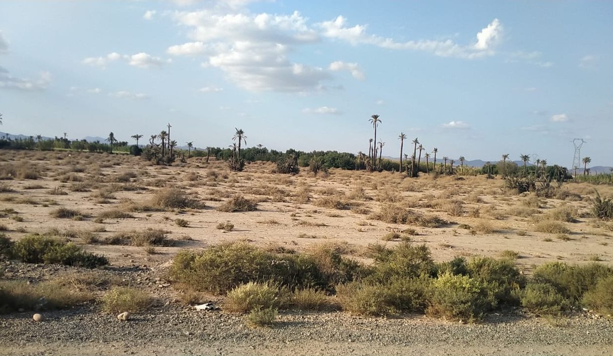 IMG-20211027-WA0061