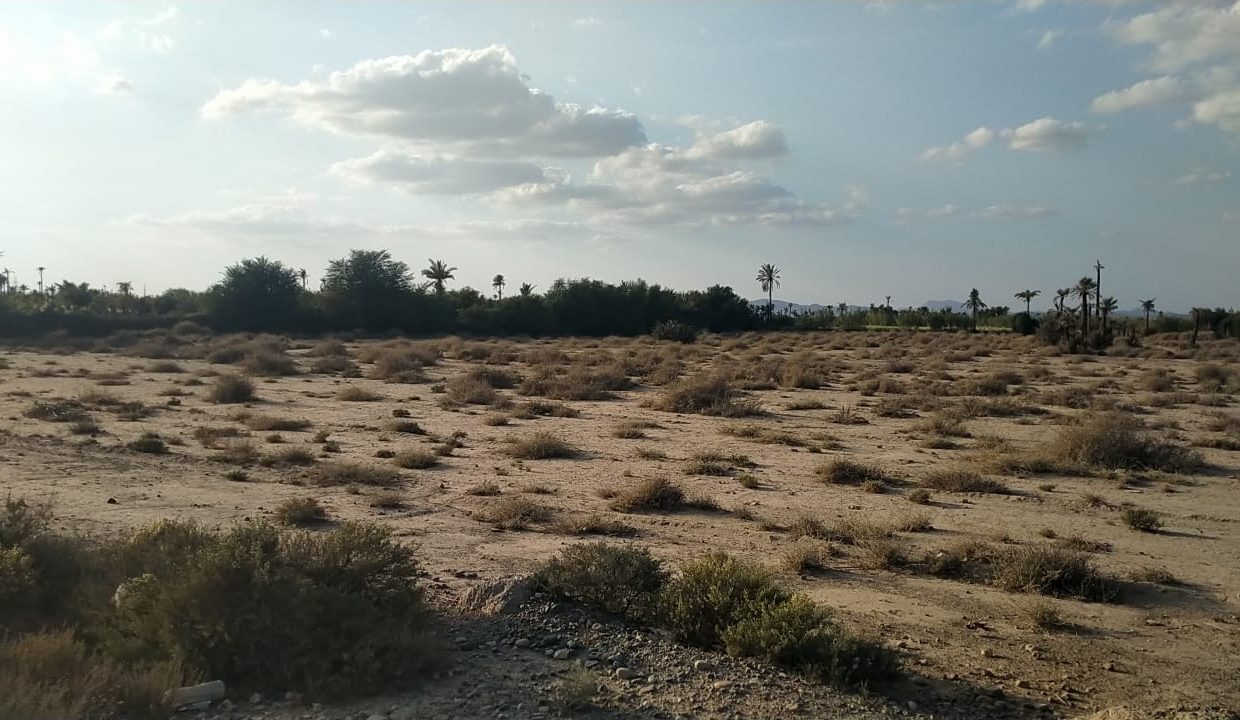 IMG-20211027-WA0067