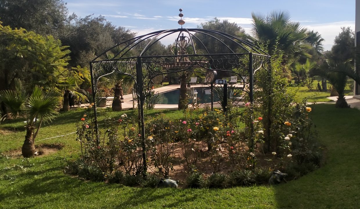 IMG20211111151107