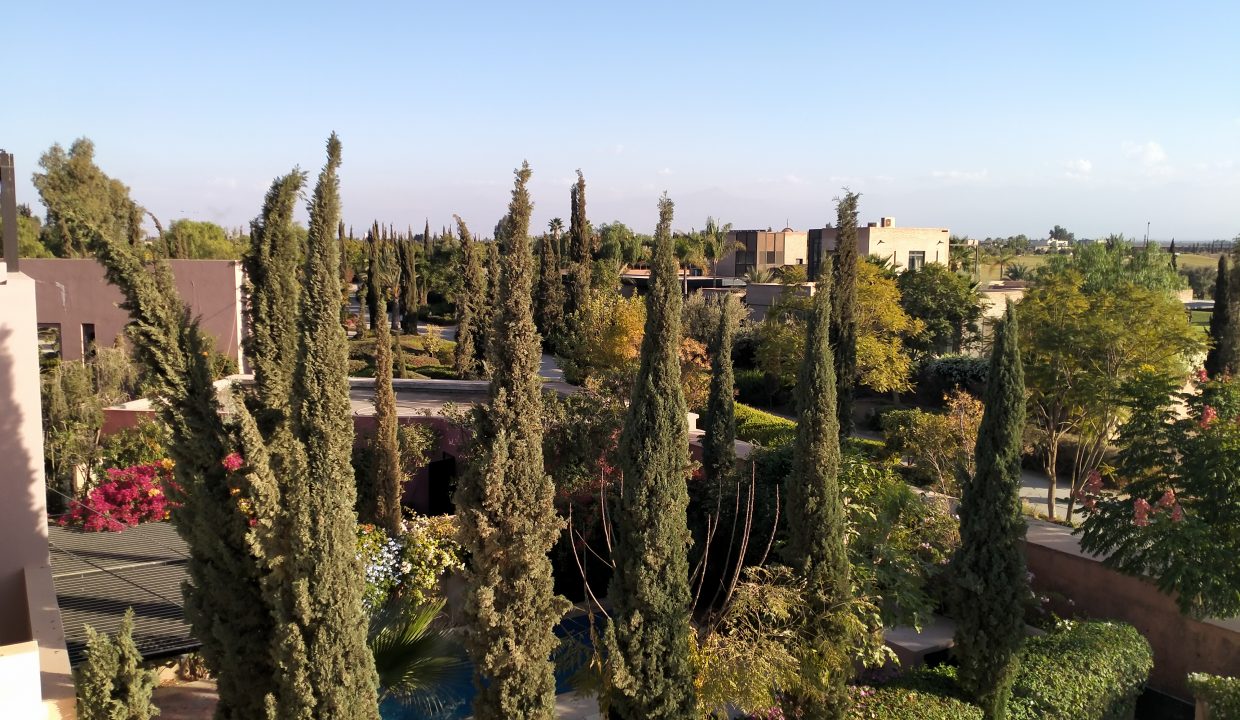IMG20211117170434