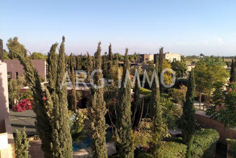 IMG20211117170434