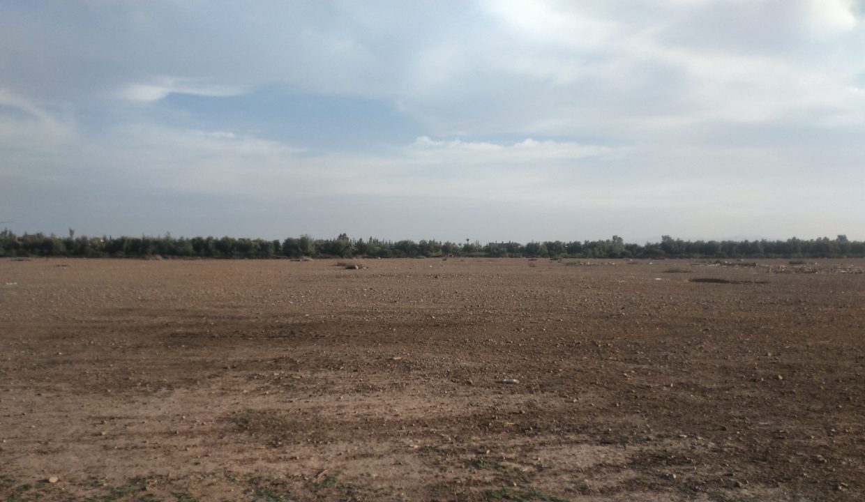 IMG-20220302-WA0065