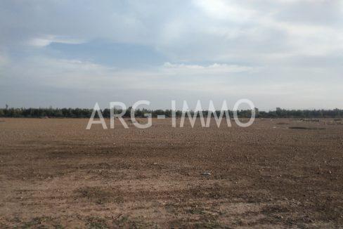 IMG-20220302-WA0065