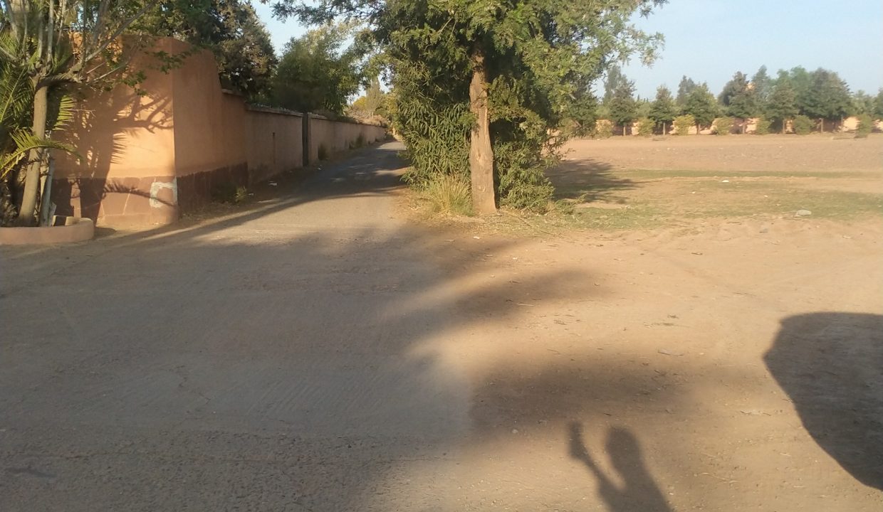 IMG-20220302-WA0071
