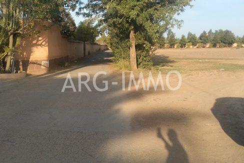 IMG-20220302-WA0071