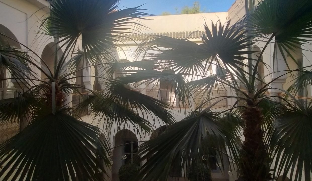 IMG20220303175329
