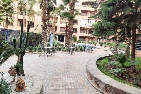 IMG-0009