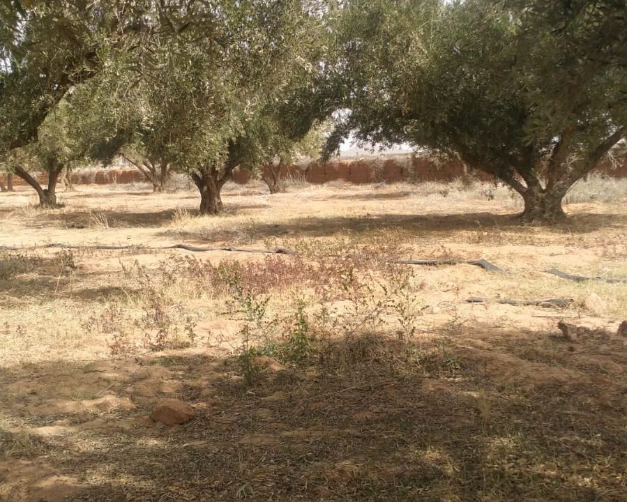 1ce9429e-8751-4a09-9efc-a1be494ed864