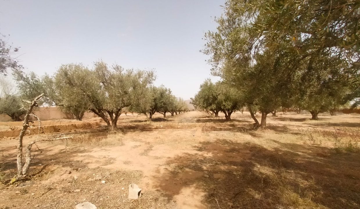 c327d7f2-7619-41c8-8ae4-a39567701989